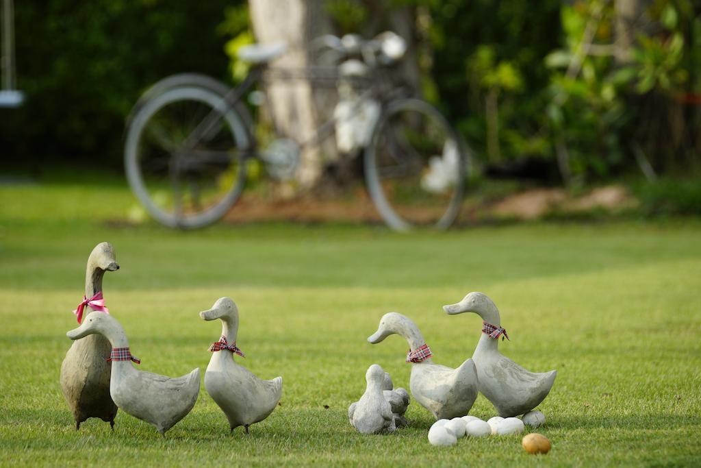 Perennial Resort Nai Yang Ngoại thất bức ảnh